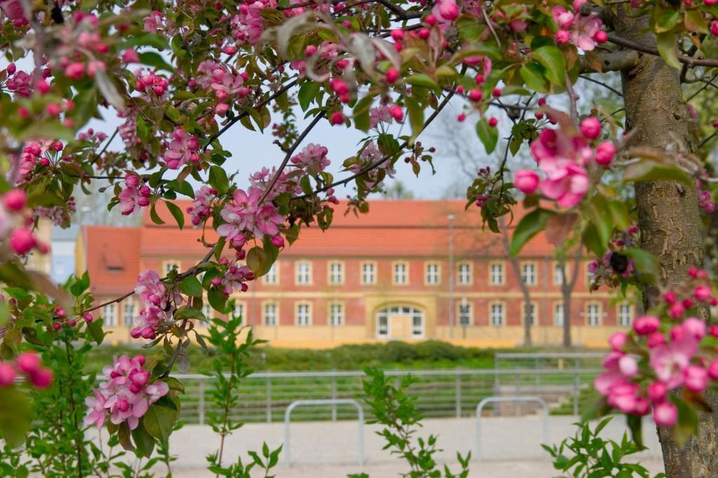 Hotel Vierseithof Luckenwalde Exteriér fotografie